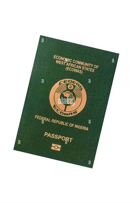 Nigerian Passport - Immigration and expatriate services